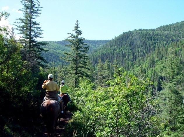 Отель Circle K Ranch Rico Экстерьер фото